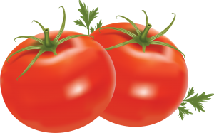 Tomatoes PNG-12594